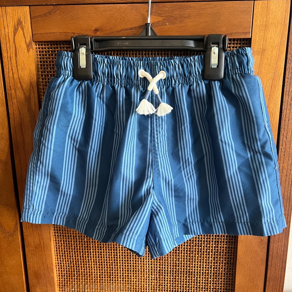 Zara Blue Striped Swim Trunks